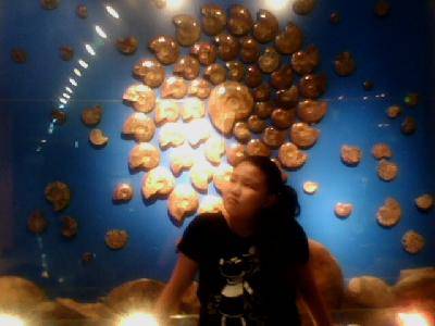 �����߽���Ȥ����Ŀ�ѧ����------�ιۺ���ʡ���ʲ��������