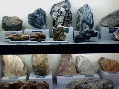 �����߽���Ȥ����Ŀ�ѧ����------�ιۺ���ʡ���ʲ��������