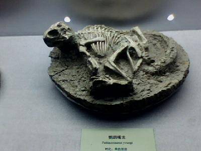 �����߽���Ȥ����Ŀ�ѧ����------�ιۺ���ʡ���ʲ��������