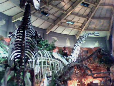 �����߽���Ȥ����Ŀ�ѧ����------�ιۺ���ʡ���ʲ��������