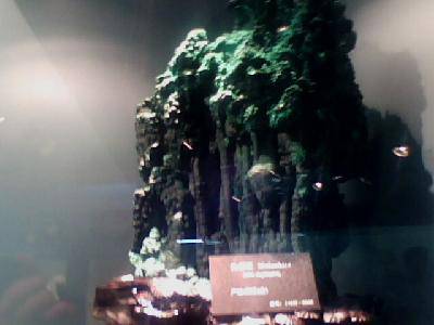 �����߽���Ȥ����Ŀ�ѧ����------�ιۺ���ʡ���ʲ��������