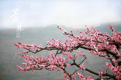 ���������ɵ�����