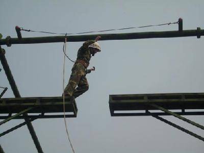 �ι�����������