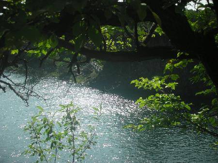 ��ˮ¥�ٲ�����