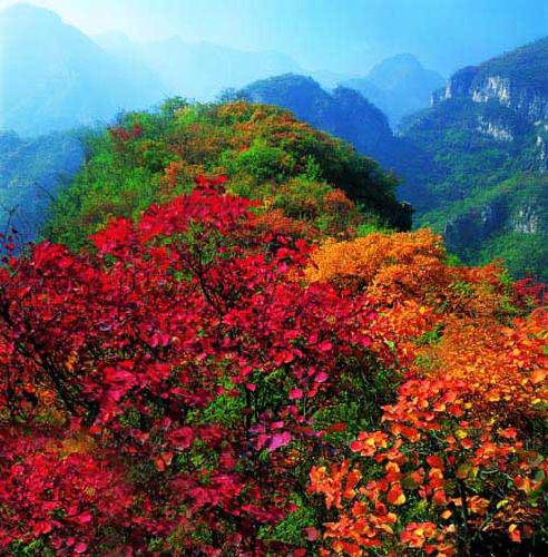 ��̨ɽˮ����������