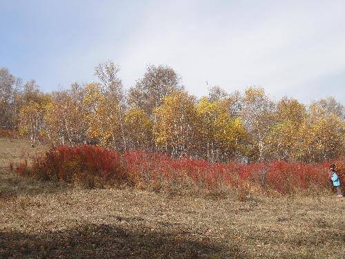 ��ԭ֮��֮һ�����ӱ����ϲ�ԭ����