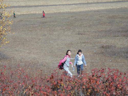 ��ԭ֮��֮һ�����ӱ����ϲ�ԭ����