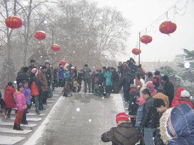 �������ֵ�������