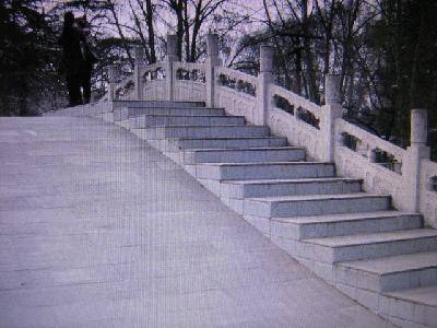 �������ֵ�������