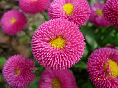 �����ơ�״����д������