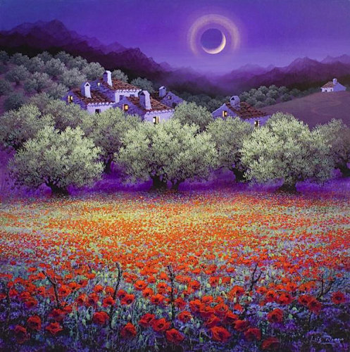 ����������      ����