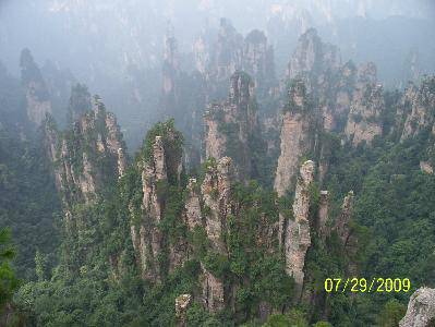 ���˵��żҽ�����