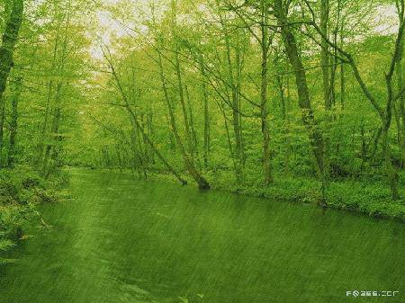 ��һ��������