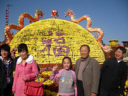 ����ͤ���������