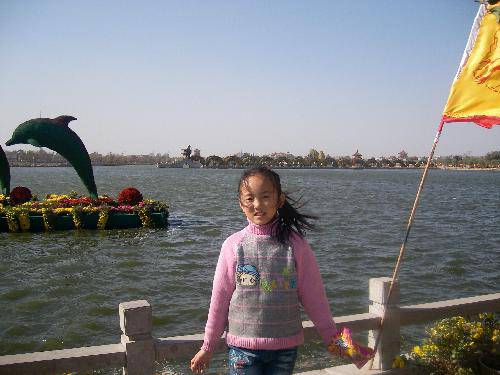 ����ͤ���������