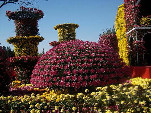 ����ͤ���������