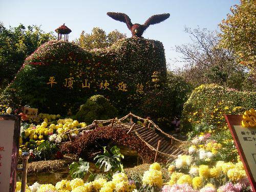 ����ͤ���������