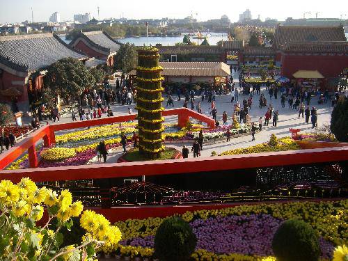 ����ͤ���������