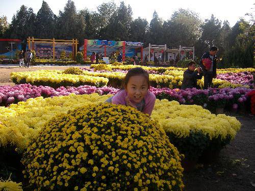 ����ͤ���������