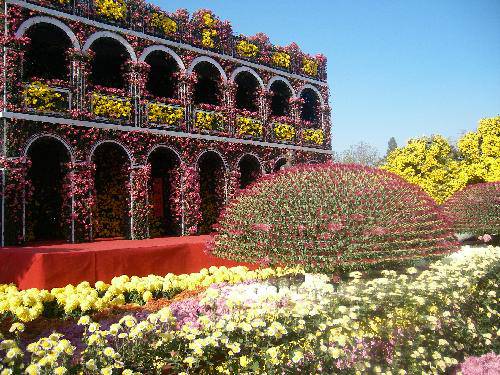 ����ͤ���������