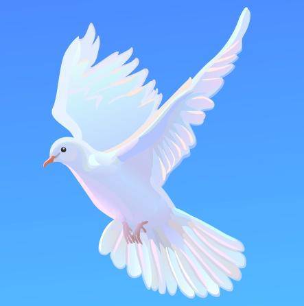 �ң�С˧�������������