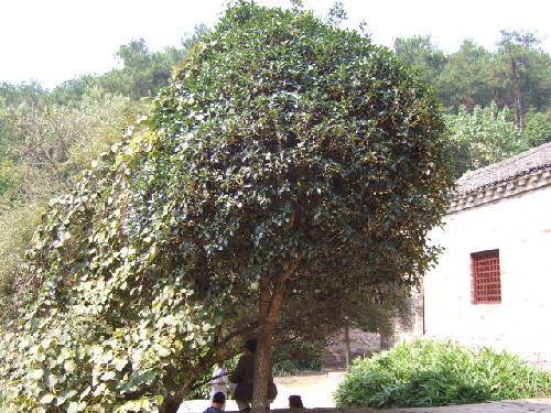 ͦ�����ɽ���߽�����ϵ��֮����������������