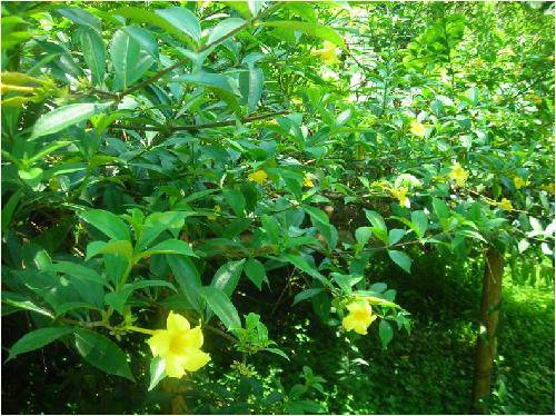 �����μ�֮�壺����Ķ������ֺ��ȴ���������