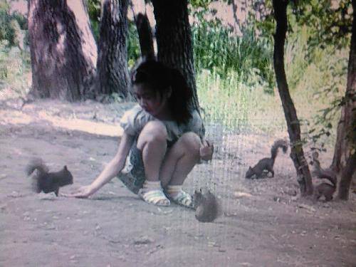 ������̫��������