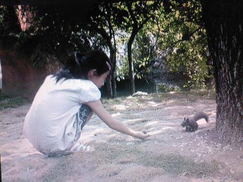 ������̫��������