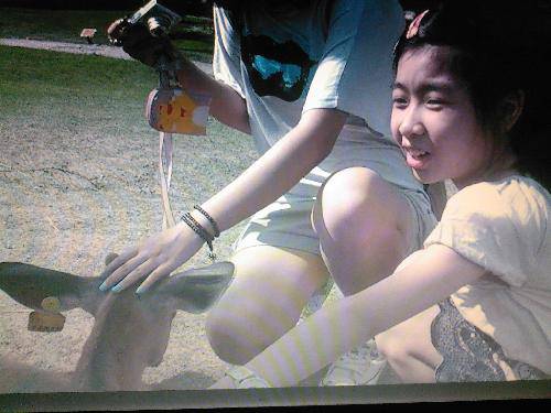 ������̫��������