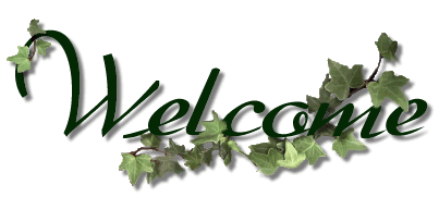 ����������4��ħ���������