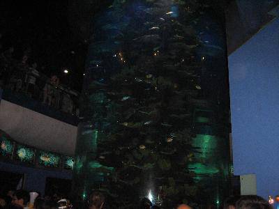 �κ�����������