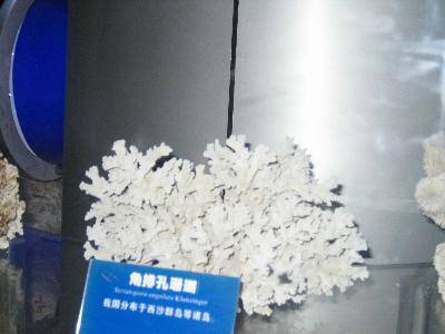 �κ�����������