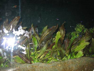 �κ�����������