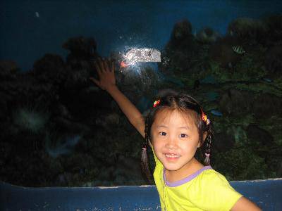 �κ�����������