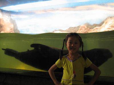 �κ�����������