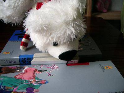 �˿���ħ������С����������