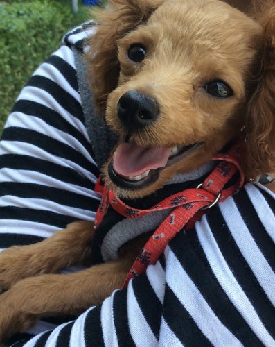 �����򡱵�Ȥ������