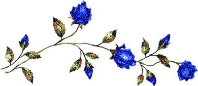 �Ժ��ӵĳɳ����֣���һ�����ɵ���������