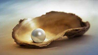 �ҵġ�����������������������