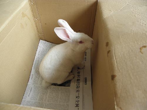 �ҵ������ѡ��ıġ�����