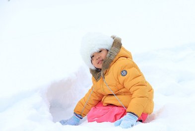 [�ö�]�����й��������