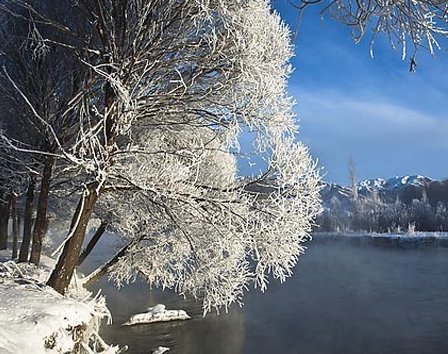 [�ö�]�����й��������