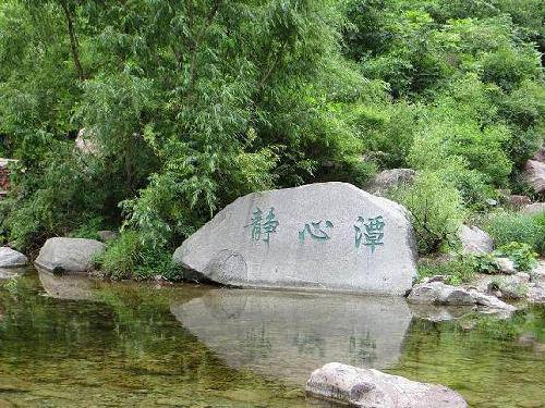 ���﹵����������