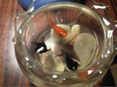 Ư����С��������