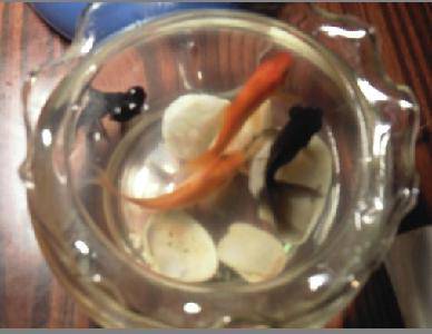 Ư����С��������