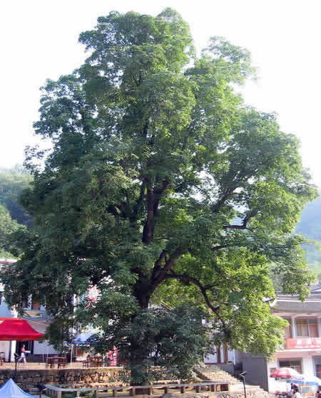 �ضȹ�������----1����