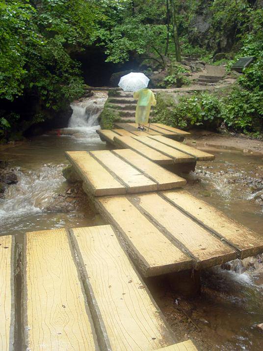 �ضȹ�������----1����