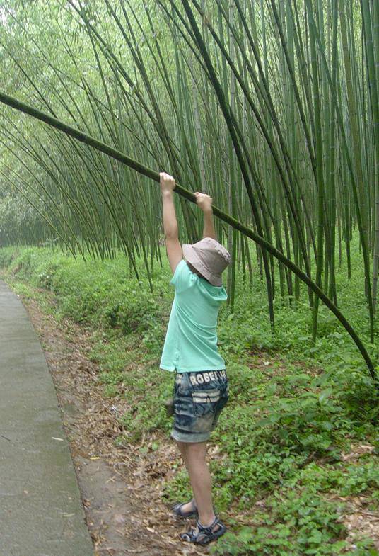 �ضȹ�������----1����