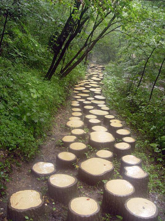 �ضȹ�������----1����